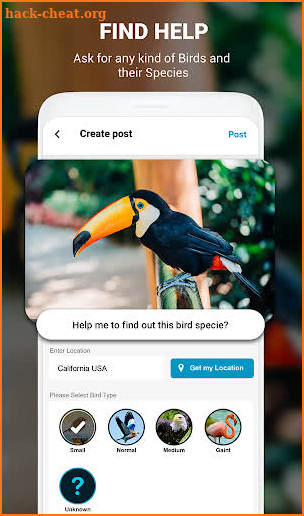 Birds Identifier App by Photo, Bird ID Camera 2020 screenshot