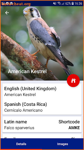 Birds of Costa Rica screenshot