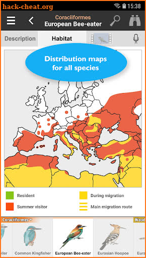 Birds of Europe: Identification, habitat, calls screenshot