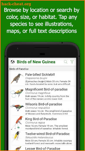 Birds of New Guinea screenshot
