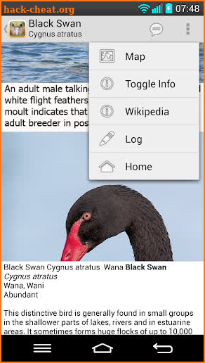 Birds of New Zealand screenshot
