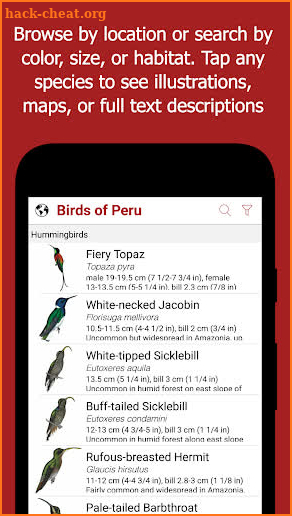 Birds of Peru screenshot