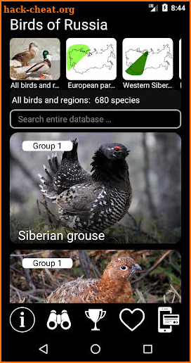 Birds of Russia Field Guide screenshot