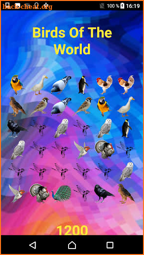 Birds Of The World screenshot