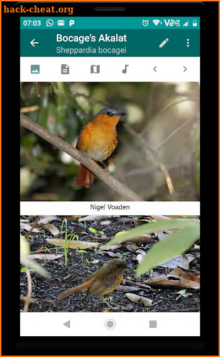 Birds of Zambia screenshot