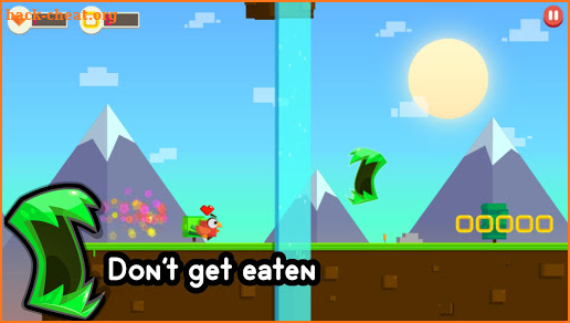 Birds Run: Epic Adventure Dash screenshot