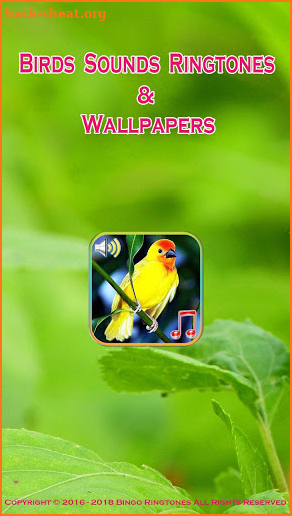 Birds Sounds Ringtones & Wallpapers screenshot