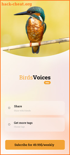 Birds Voices screenshot