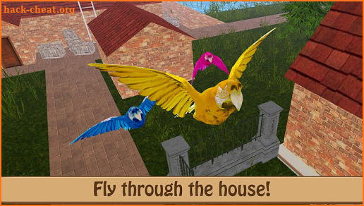 Birdy Pet - Parrot Life Simulator screenshot