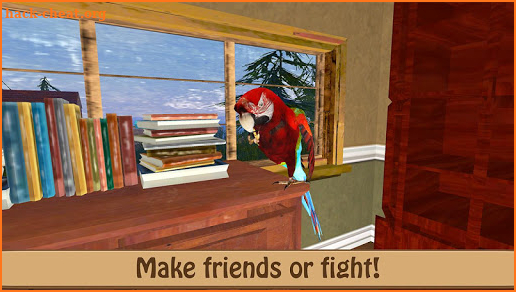 Birdy Pet - Parrot Life Simulator screenshot
