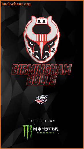 Birmingham Bulls screenshot