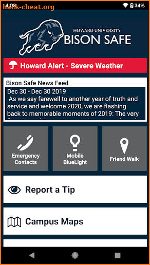 Bison Safe screenshot