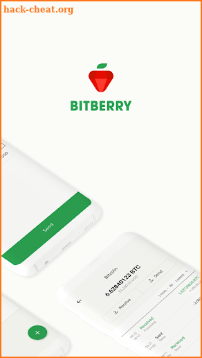 Bitberry : Safe Cryptocurrency Wallet screenshot