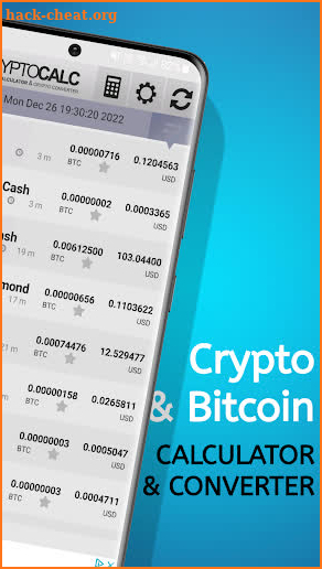 Bitcoin & Crypto Calculator screenshot