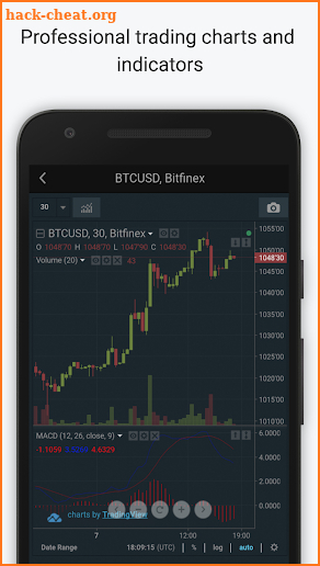 Bitfinex screenshot