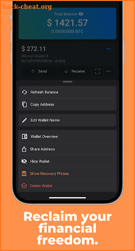 Bits: Bitcoin Wallet - BTC screenshot