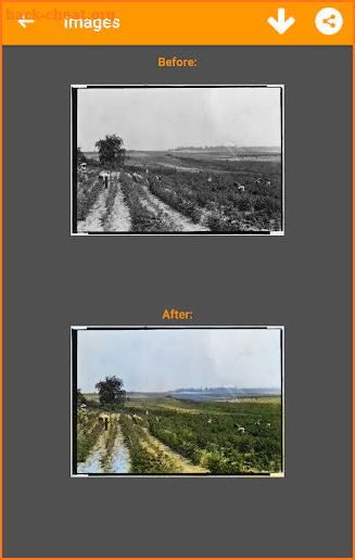 Black and White Photo Colorizer - Chromatix screenshot