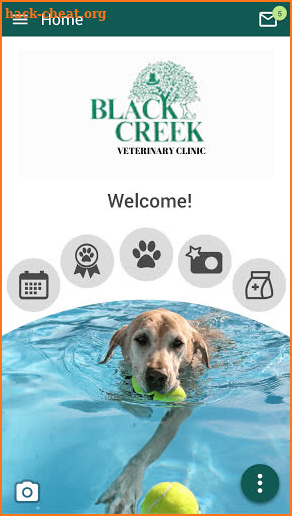 Black Creek Veterinary Clinic NY screenshot