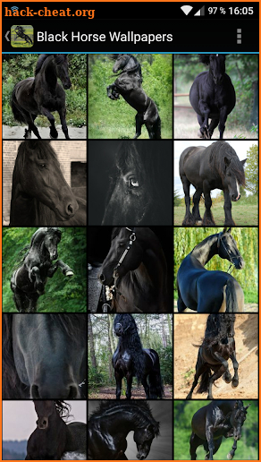 Black Horse Wallpapers screenshot