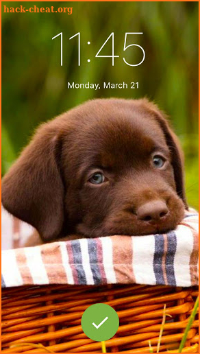 Black Labrador Puppy Screen Lock Phone Pattern screenshot