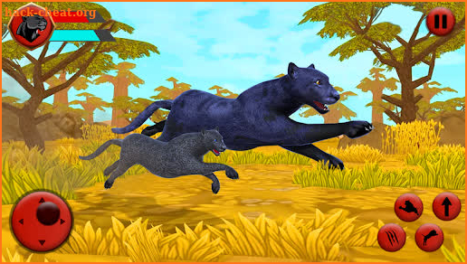 Black Panther Sim Game- Wild Animal Simulator 2021 screenshot