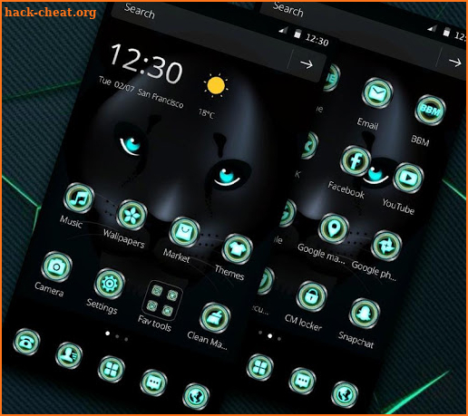 Black Tech Leopard Theme screenshot