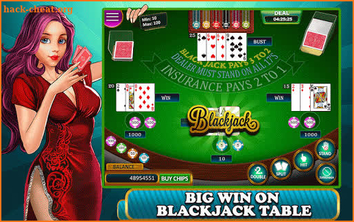 BlackJack -21 Casino Card Game screenshot