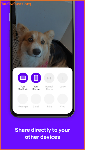 Blip (File Transfer) screenshot