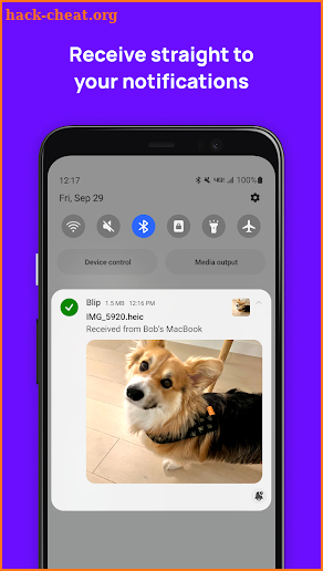 Blip (File Transfer) screenshot