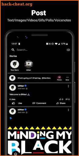 Blitter Social Network screenshot