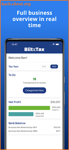 BlitzTax screenshot