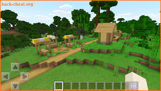 Block Craft Building Crazy screenshot