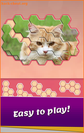Block hexa puzzle - Animals Jigsaw screenshot