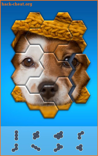 Block Hexa Puzzle Jigsaw - jigsaw puzzles for free screenshot