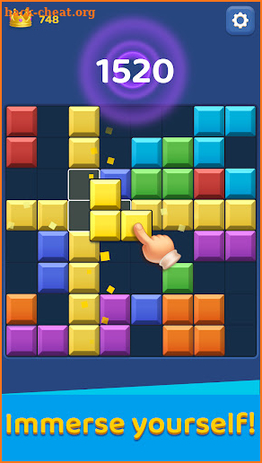 Block Master - Puzzle Game screenshot
