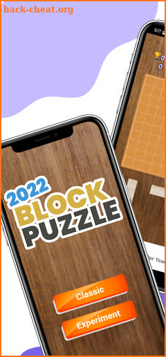 Block Puzzle 2022 screenshot