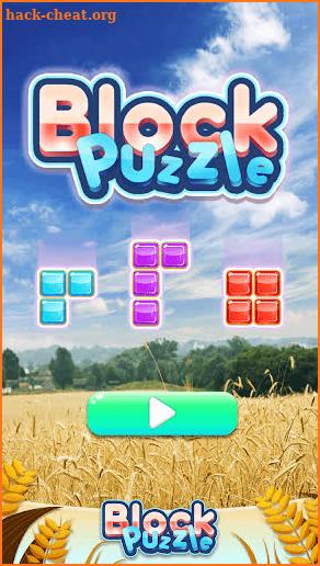 Block Puzzle - Endless Test screenshot