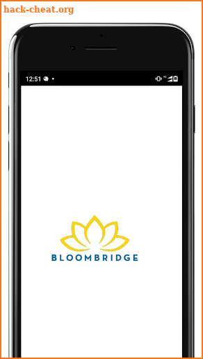 BloomBridge Runner screenshot