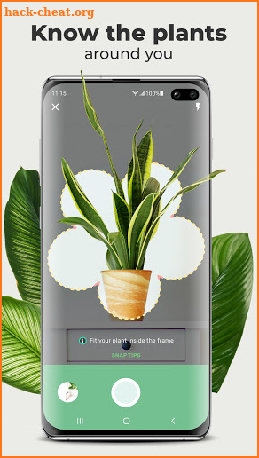 Blossom - Plant Identification app screenshot