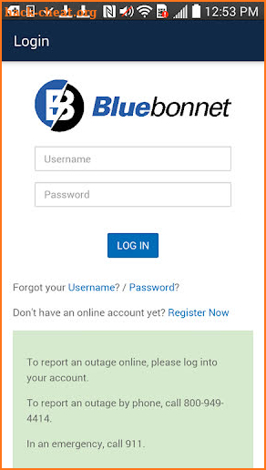 Bluebonnet screenshot