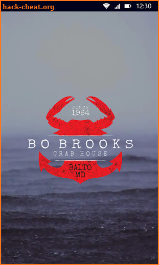 Bo Brooks screenshot