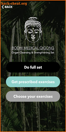 Bodhi Medical Qigong screenshot