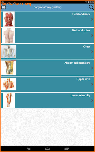 Body Anatomy (Netter) screenshot