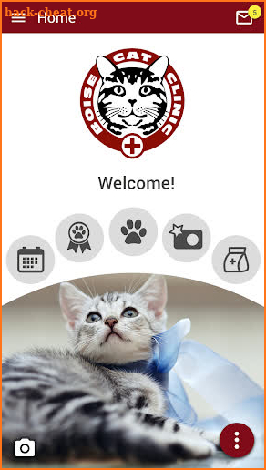 Boise Cat Clinic screenshot