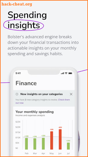 Bolster: Finance and Credit screenshot