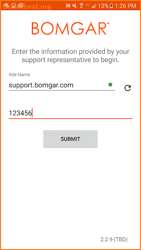 Bomgar Support Client screenshot