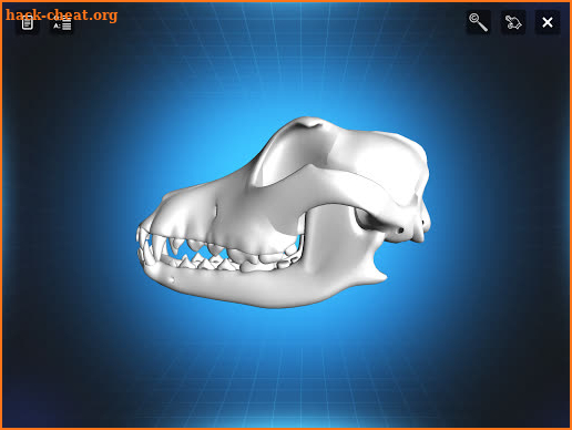 Bone Viewer - Dog Skull screenshot