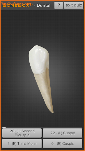 BoneBox™ - Dental Lite screenshot