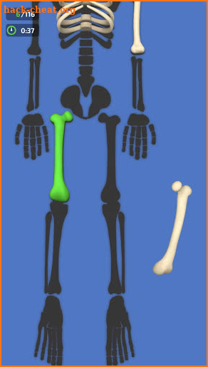Bones Match 3D screenshot