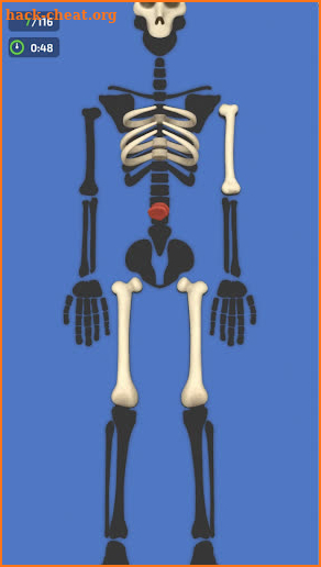 Bones Match 3D screenshot
